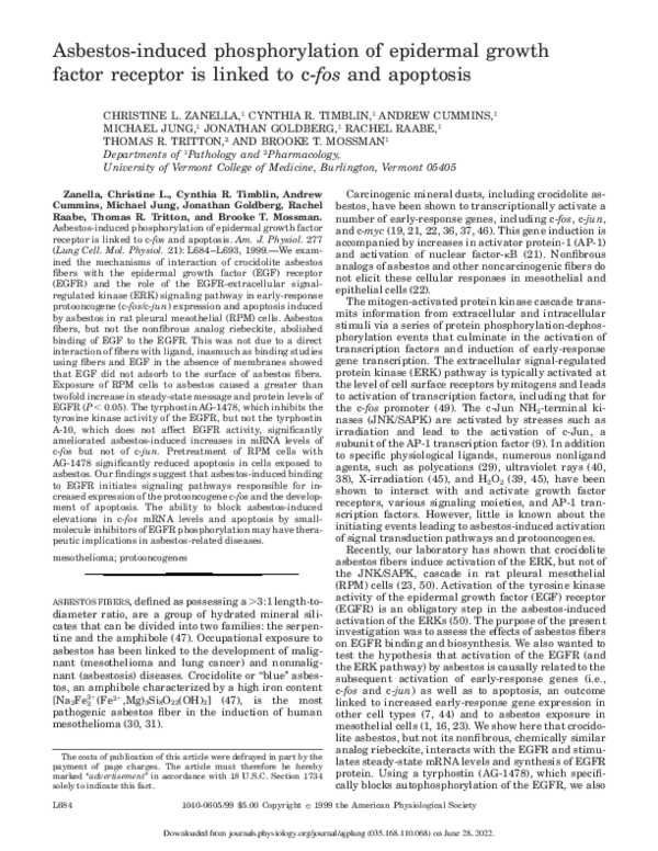 (PDF) Asbestos-induced phosphorylation of epidermal growth factor ...
