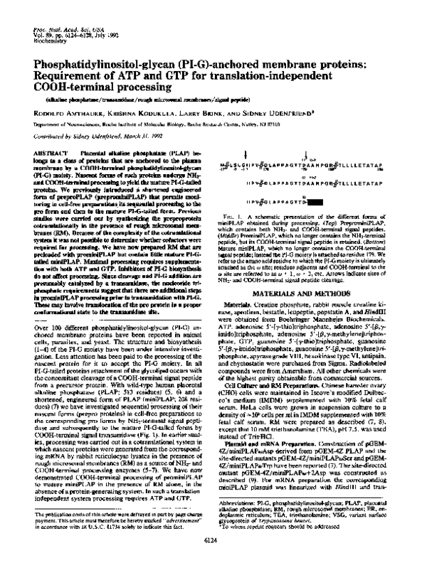 (PDF) Phosphatidylinositol-glycan (PI-G)-anchored membrane proteins ...