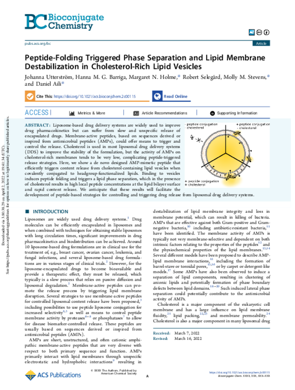 (PDF) Peptide-Folding Triggered Phase Separation and Lipid Membrane ...