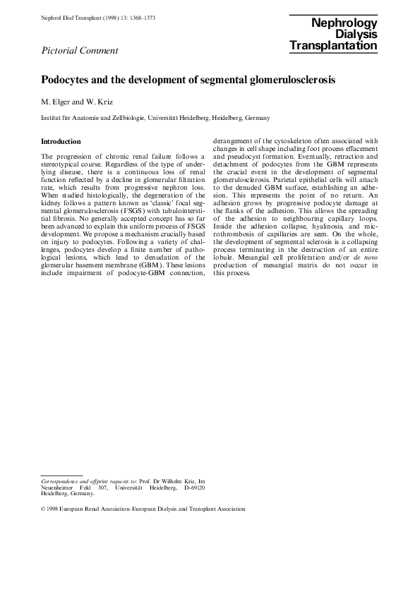 (PDF) Pictorial comment. Podocytes and the development of segmental ...