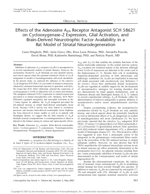 (PDF) Effects of the Adenosine A2A Receptor Antagonist SCH 58621 on ...