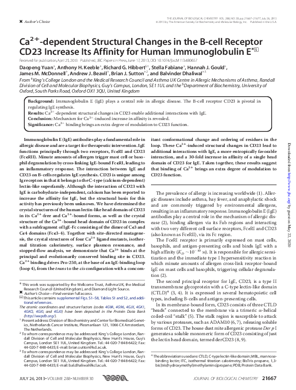 (PDF) Ca2+-dependent Structural Changes in the B-cell Receptor CD23 ...