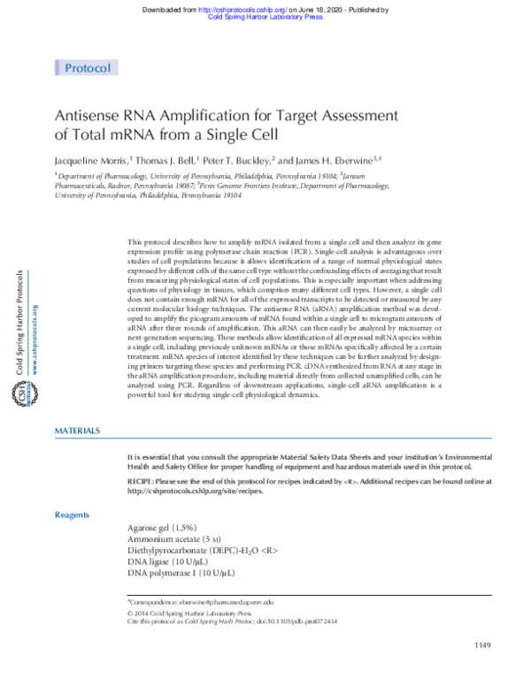 (PDF) Antisense RNA Amplification for Target Assessment of Total mRNA ...