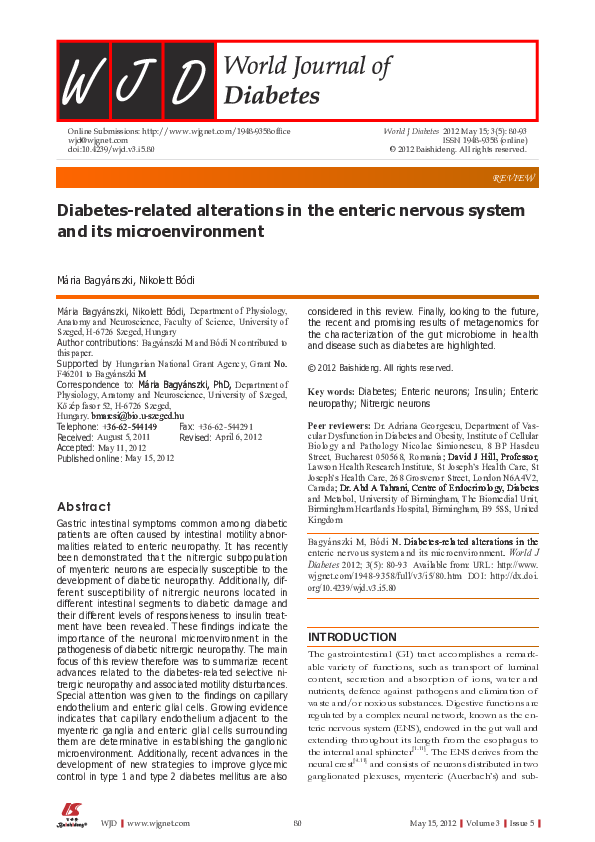 (PDF) Diabetes-related alterations in the enteric nervous system and ...