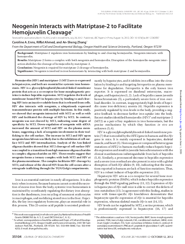 (PDF) Neogenin Interacts with Matriptase-2 to Facilitate Hemojuvelin ...