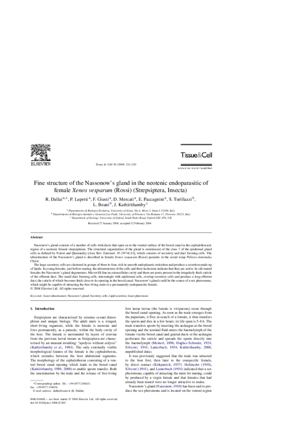 (PDF) Fine structure of the Nassonow’s gland in the neotenic ...