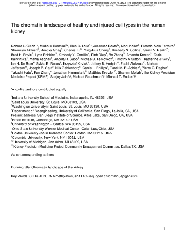 (PDF) The chromatin landscape of healthy and injured cell types in the ...