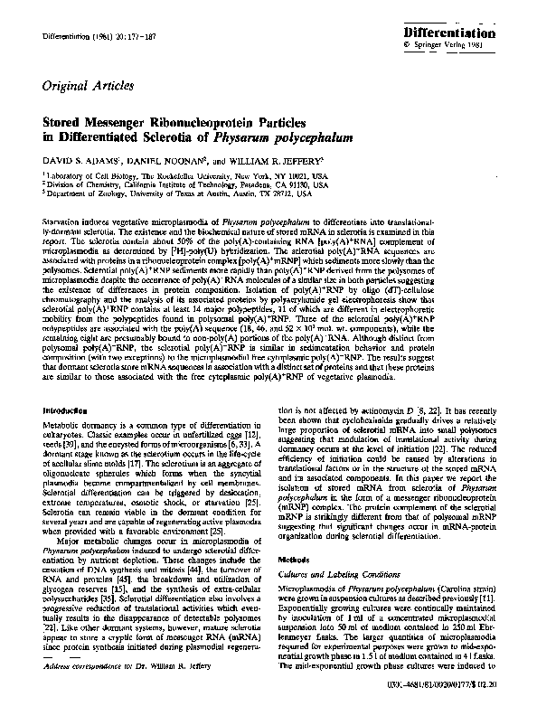 (PDF) Stored Messenger Ribonucleoprotein Particles in Differentiated ...