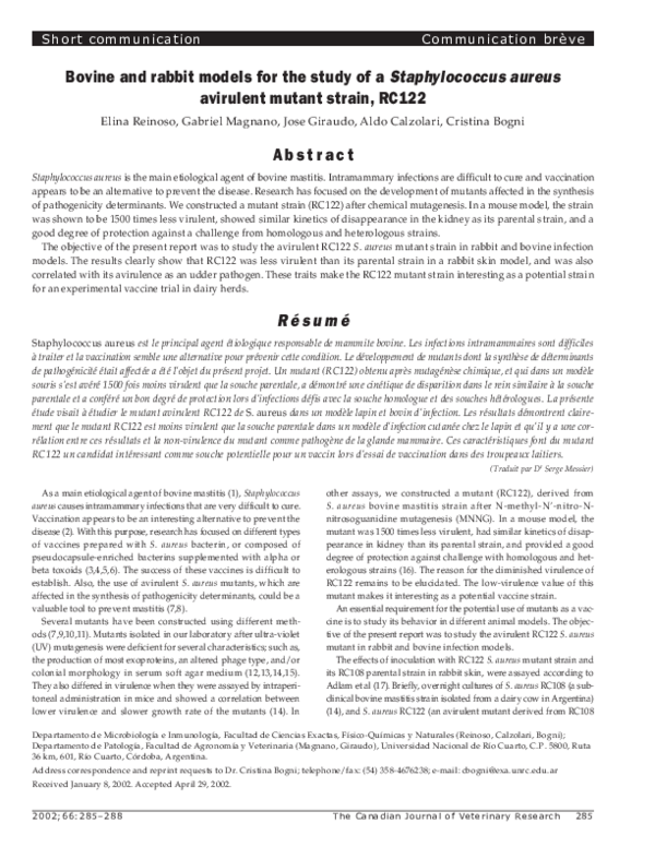 (PDF) Bovine and rabbit models for the study of a Staphylococcus aureus ...