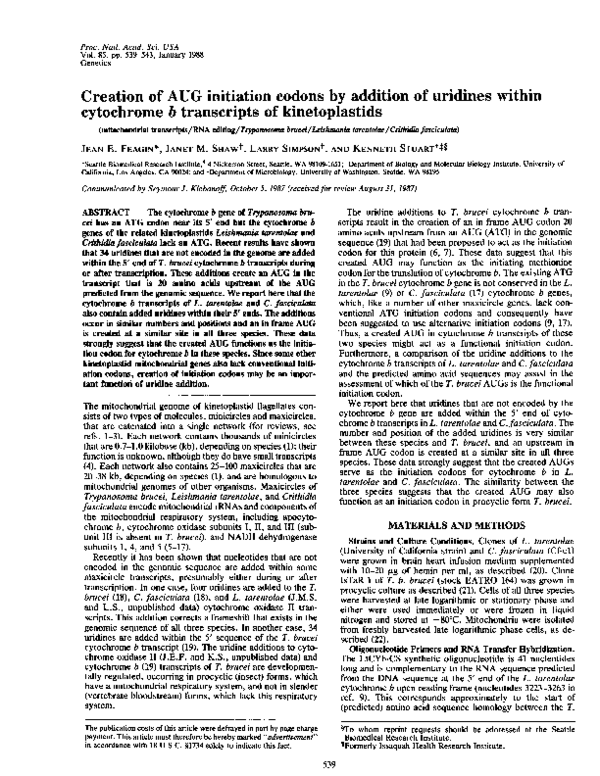 (PDF) Creation of AUG initiation codons by addition of uridines within ...