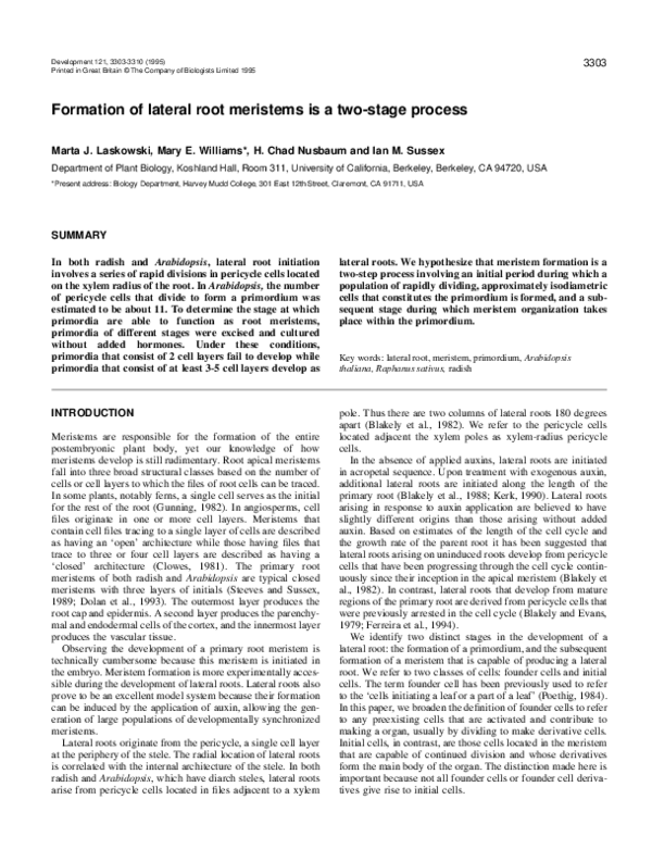 (PDF) Formation of lateral root meristems is a two-stage process
