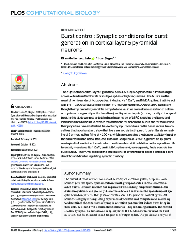 (PDF) Burst control: Synaptic conditions for burst generation in ...