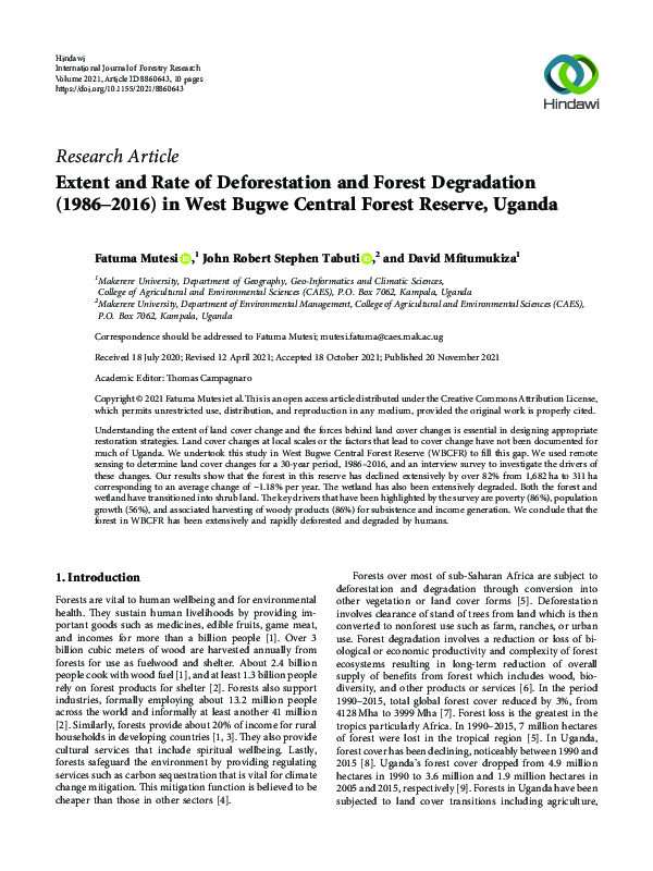 (PDF) Extent and Rate of Deforestation and Forest Degradation (1986 ...