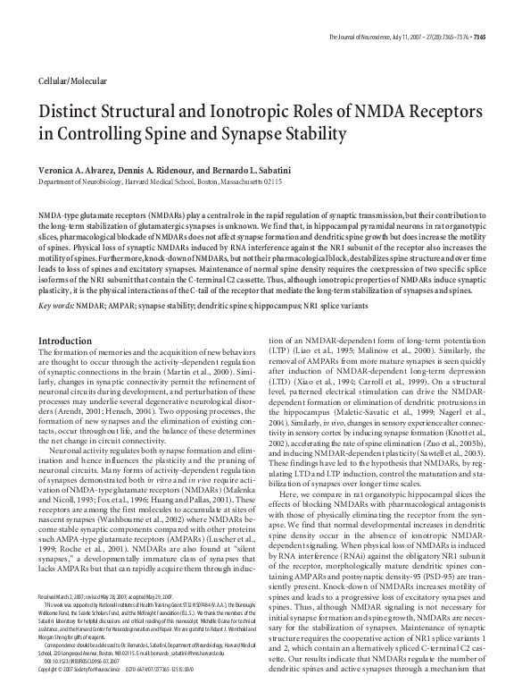(PDF) Distinct Structural and Ionotropic Roles of NMDA Receptors in ...