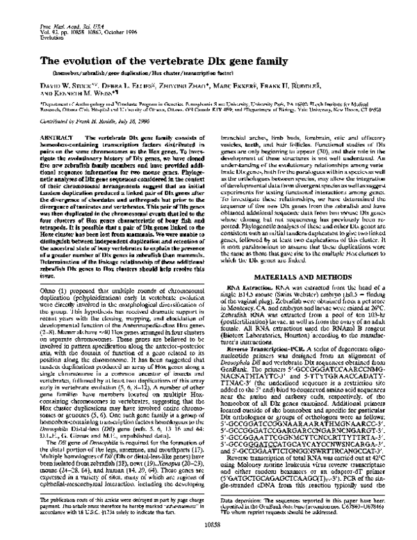 (PDF) The evolution of the vertebrate Dlx gene family