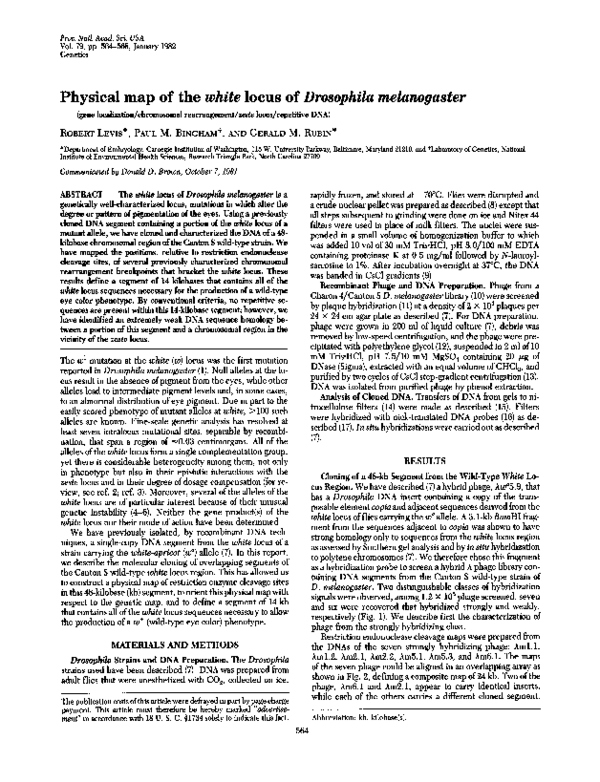 (PDF) Physical map of the white locus of Drosophila melanogaster