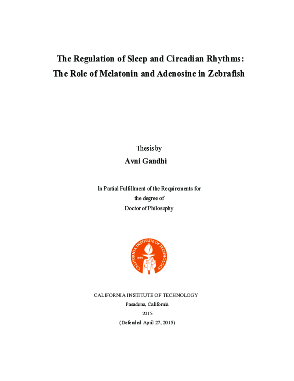 (PDF) The Regulation of Sleep and Circadian Rhythms: The Role of ...