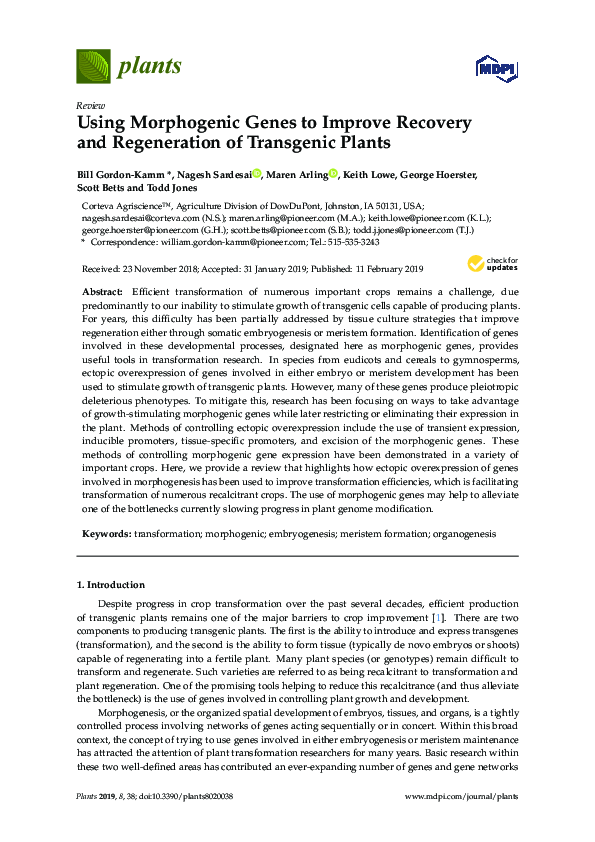 (PDF) Using Morphogenic Genes to Improve Recovery and Regeneration of ...