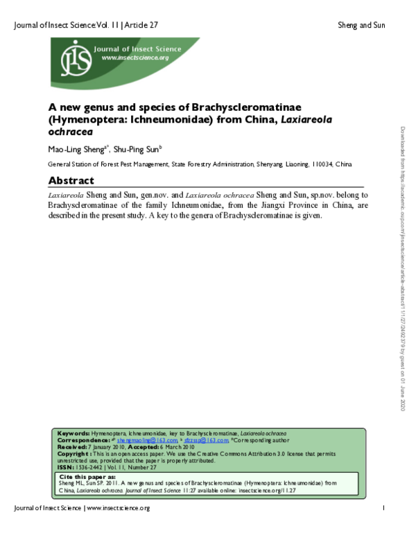 (PDF) A New Genus and Species of Brachyscleromatinae (Hymenoptera ...