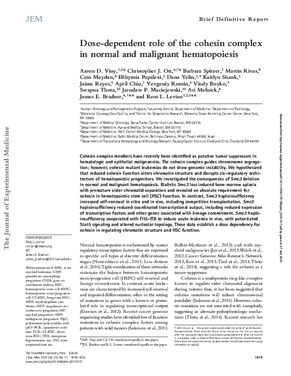 (PDF) Dose-dependent role of the cohesin complex in normal and ...