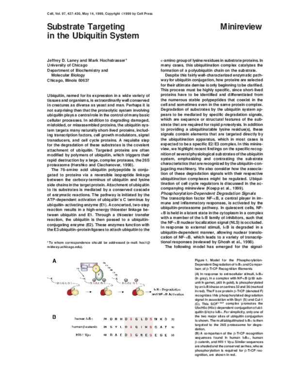 (PDF) Substrate Targeting in the Ubiquitin System