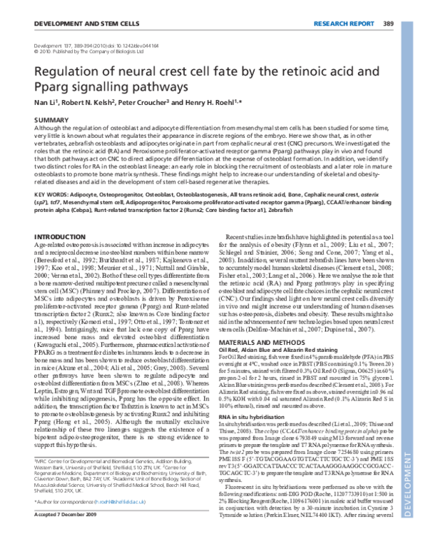(PDF) Regulation of neural crest cell fate by the retinoic acid and ...