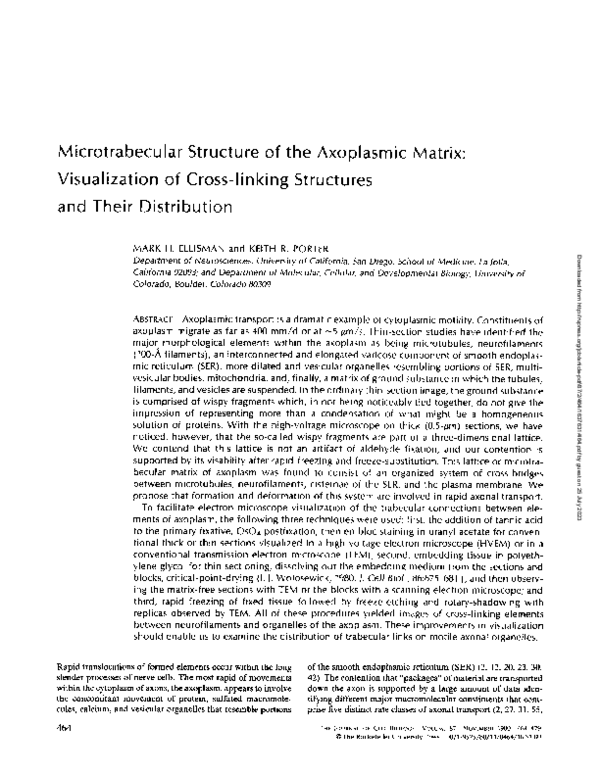 (PDF) Microtrabecular structure of the axoplasmic matrix: visualization ...