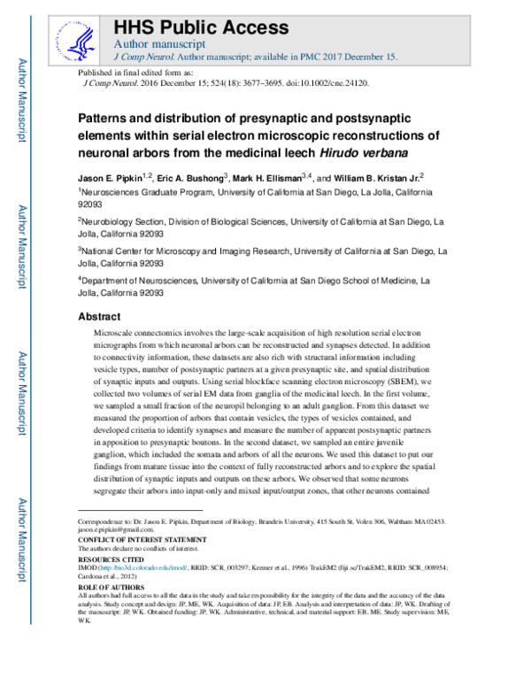 (PDF) Patterns and distribution of presynaptic and postsynaptic ...
