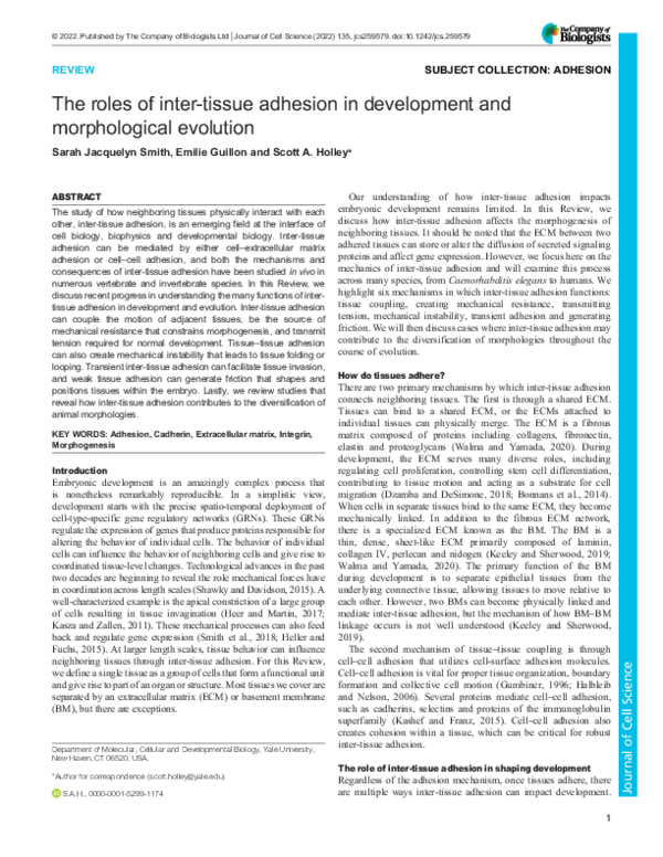 (PDF) The roles of inter-tissue adhesion in development and ...