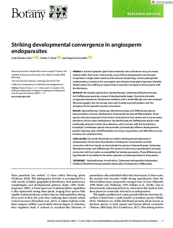 (PDF) Striking developmental convergence in angiosperm endoparasites