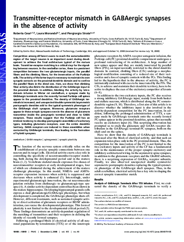 (PDF) Transmitter-receptor mismatch in GABAergic synapses in the ...