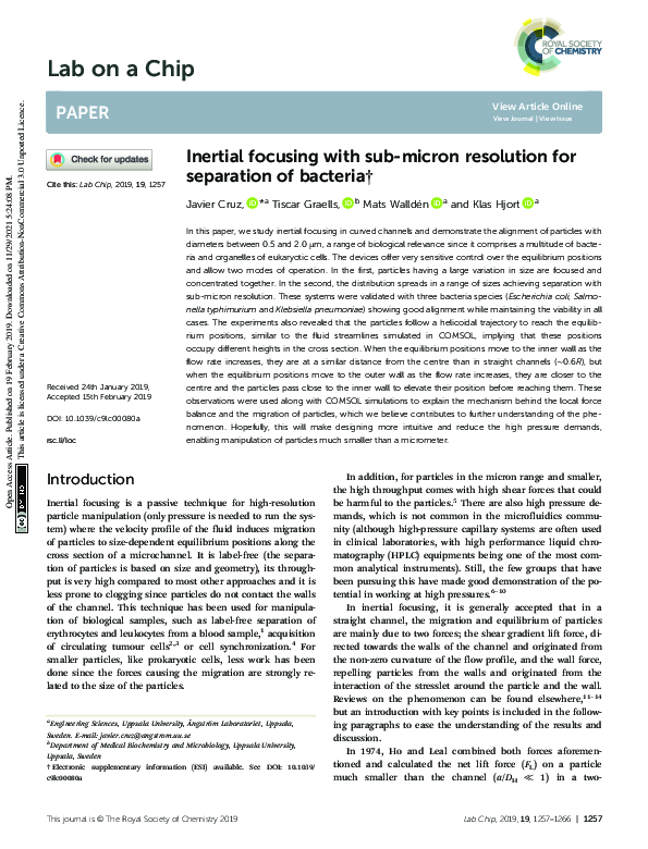 (PDF) Lab on a Chip