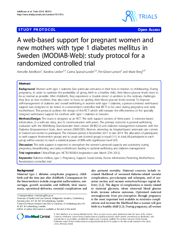 (PDF) A web-based support for pregnant women and new mothers with type ...