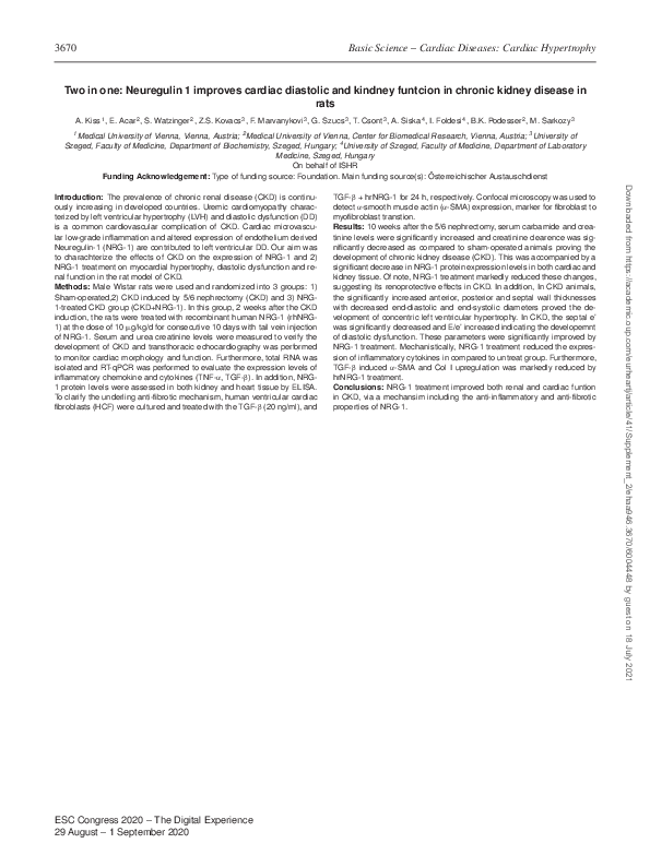 (PDF) Two in one: Neuregulin 1 improves cardiac diastolic and kindney ...