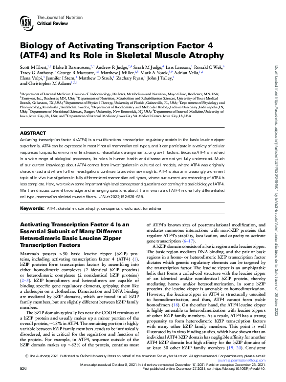 (PDF) Biology of Activating Transcription Factor 4 (ATF4) and Its Role ...