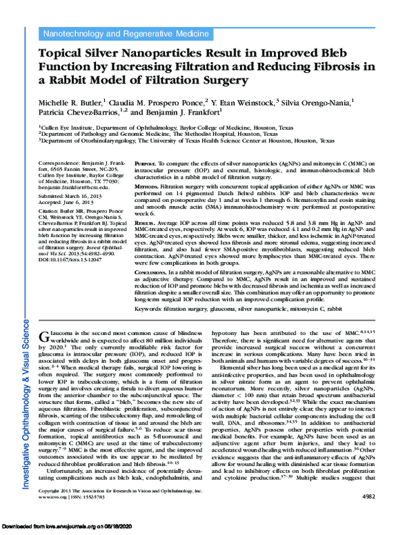 (PDF) Topical Silver Nanoparticles Result in Improved Bleb Function by ...