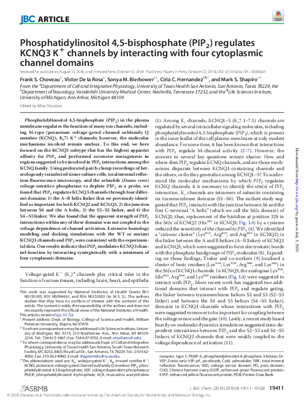 (PDF) Phosphatidylinositol 4,5-bisphosphate (PIP2) regulates KCNQ3 K+ ...