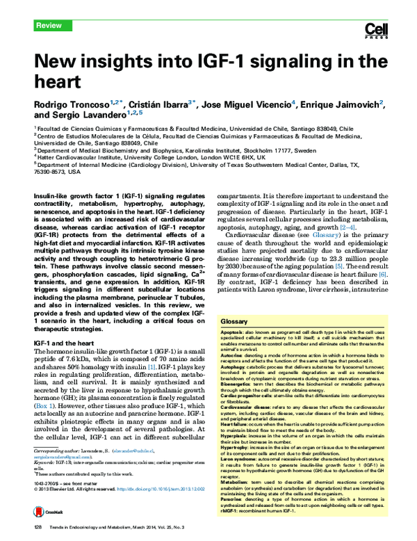 (PDF) New insights into IGF-1 signaling in the heart