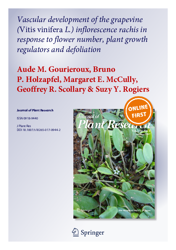(PDF) Vascular development of the grapevine (Vitis vinifera L ...