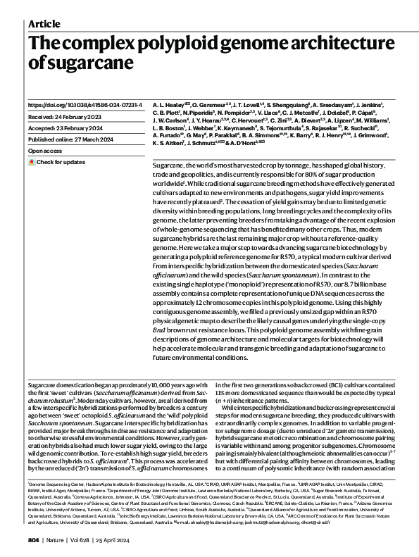 (PDF) The complex polyploid genome architecture of sugarcane