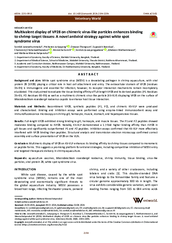 (PDF) Multivalent display of VP28 on chimeric virus-like particles ...