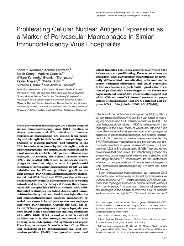 (PDF) Proliferating Cellular Nuclear Antigen Expression as a Marker of ...