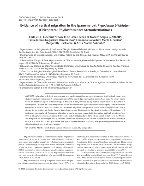 (PDF) Evidence of vertical migration in the Ipanema bat Pygoderma ...