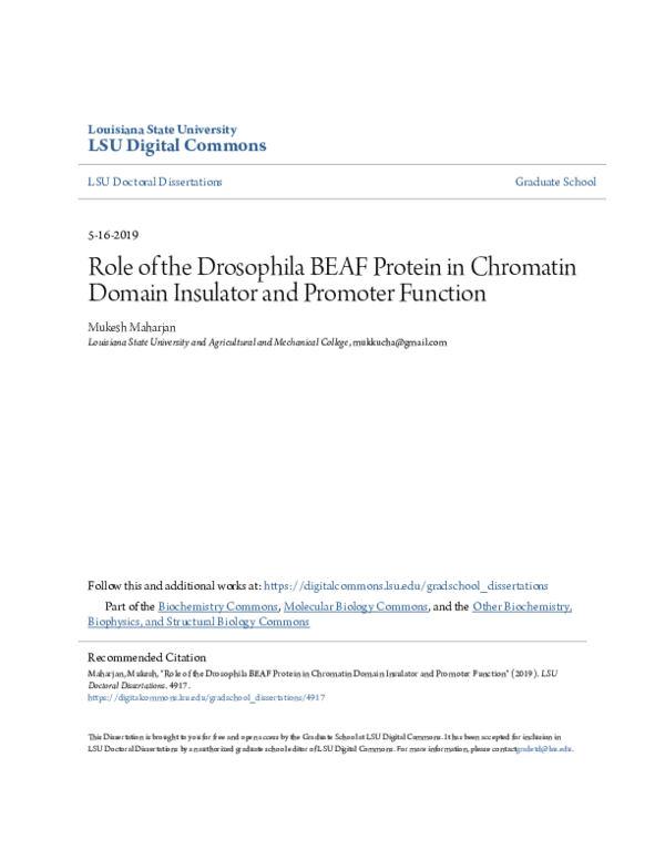 (PDF) Role of the Drosophila BEAF Protein in Chromatin Domain Insulator ...