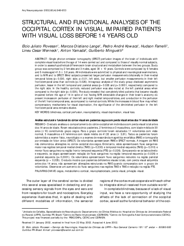 (PDF) Structural and functional analyses of the occipital cortex in ...