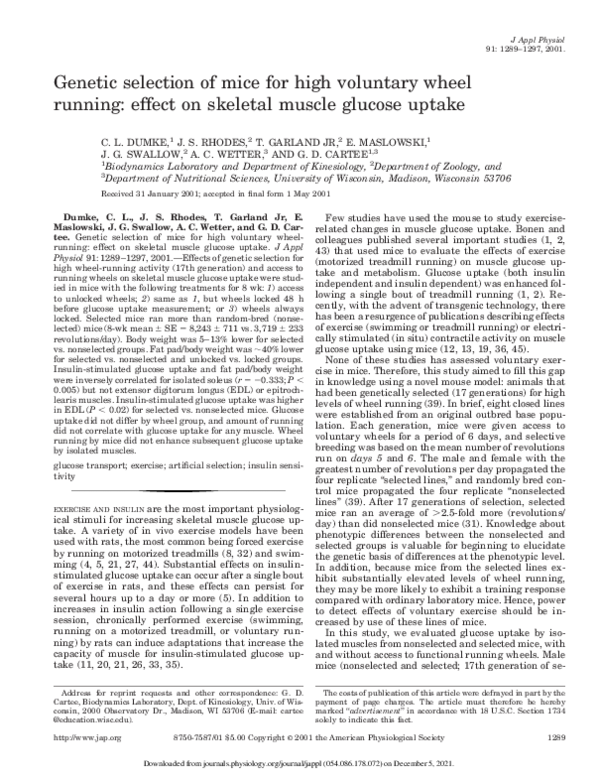 (PDF) running: effect on skeletal muscle glucose uptake Genetic ...