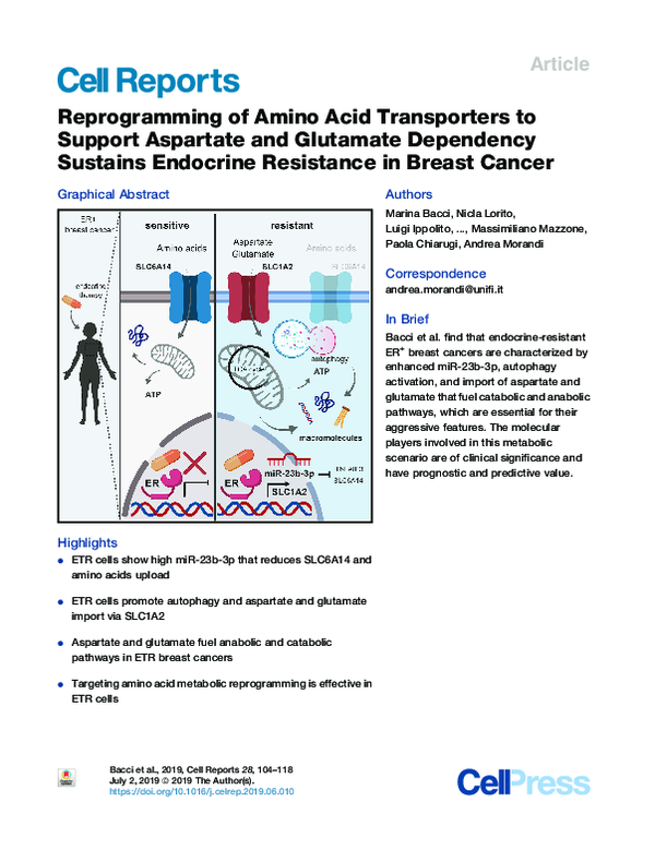 (PDF) Reprogramming of Amino Acid Transporters to Support Aspartate and ...