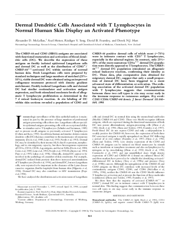 (PDF) Dermal Dendritic Cells Associated with T Lymphocytes in Normal ...