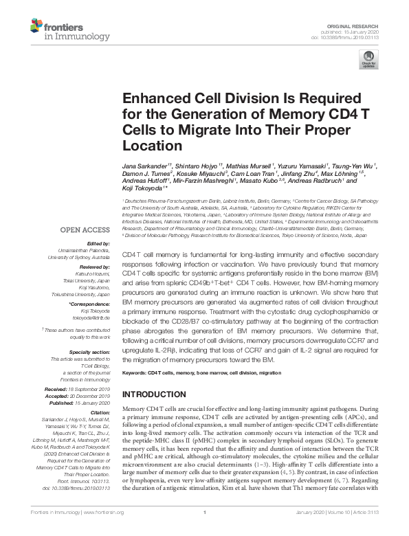 (PDF) Enhanced Cell Division Is Required for the Generation of Memory ...