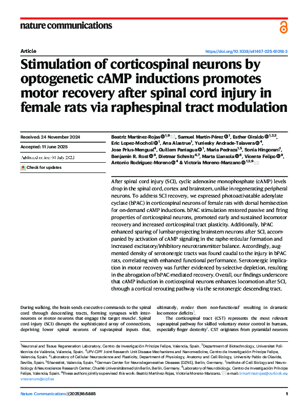 (PDF) Stimulation of corticospinal neurons by optogenetic cAMP ...